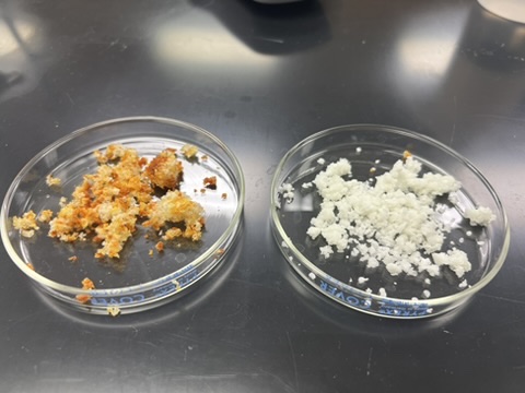Polymer samples after synthesis and purification